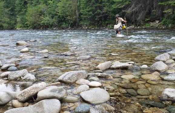 Rohde crossing a river with field gear and specimens.