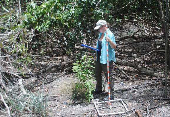 Image of Same DiGiulio recording vegetation data