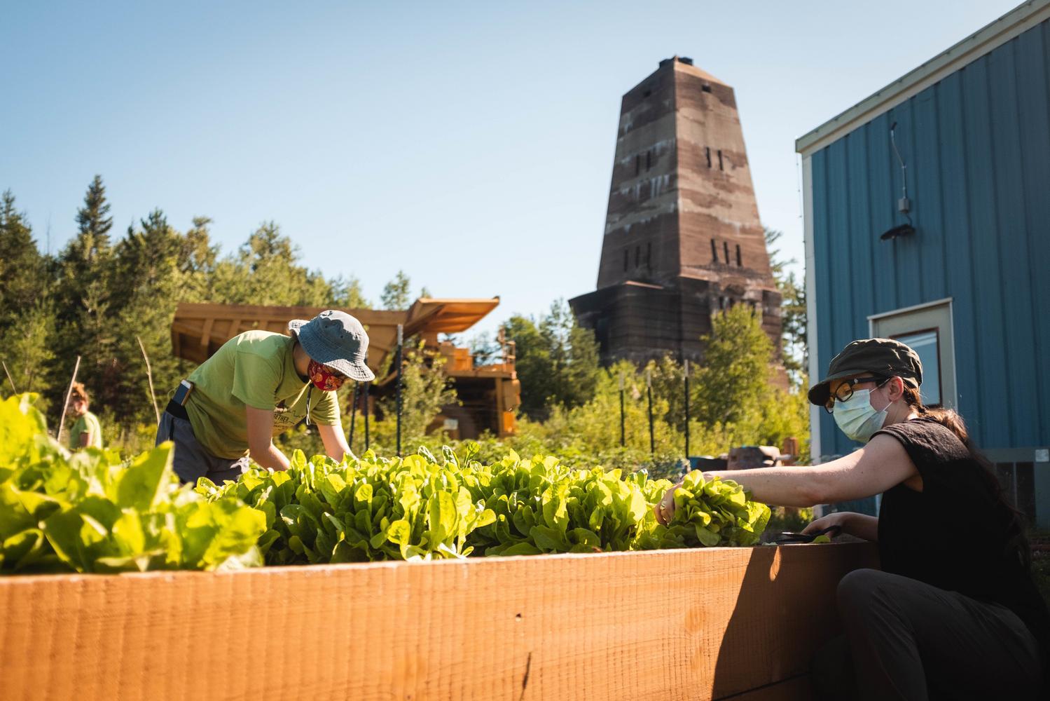 Interns tend to one of the gardens