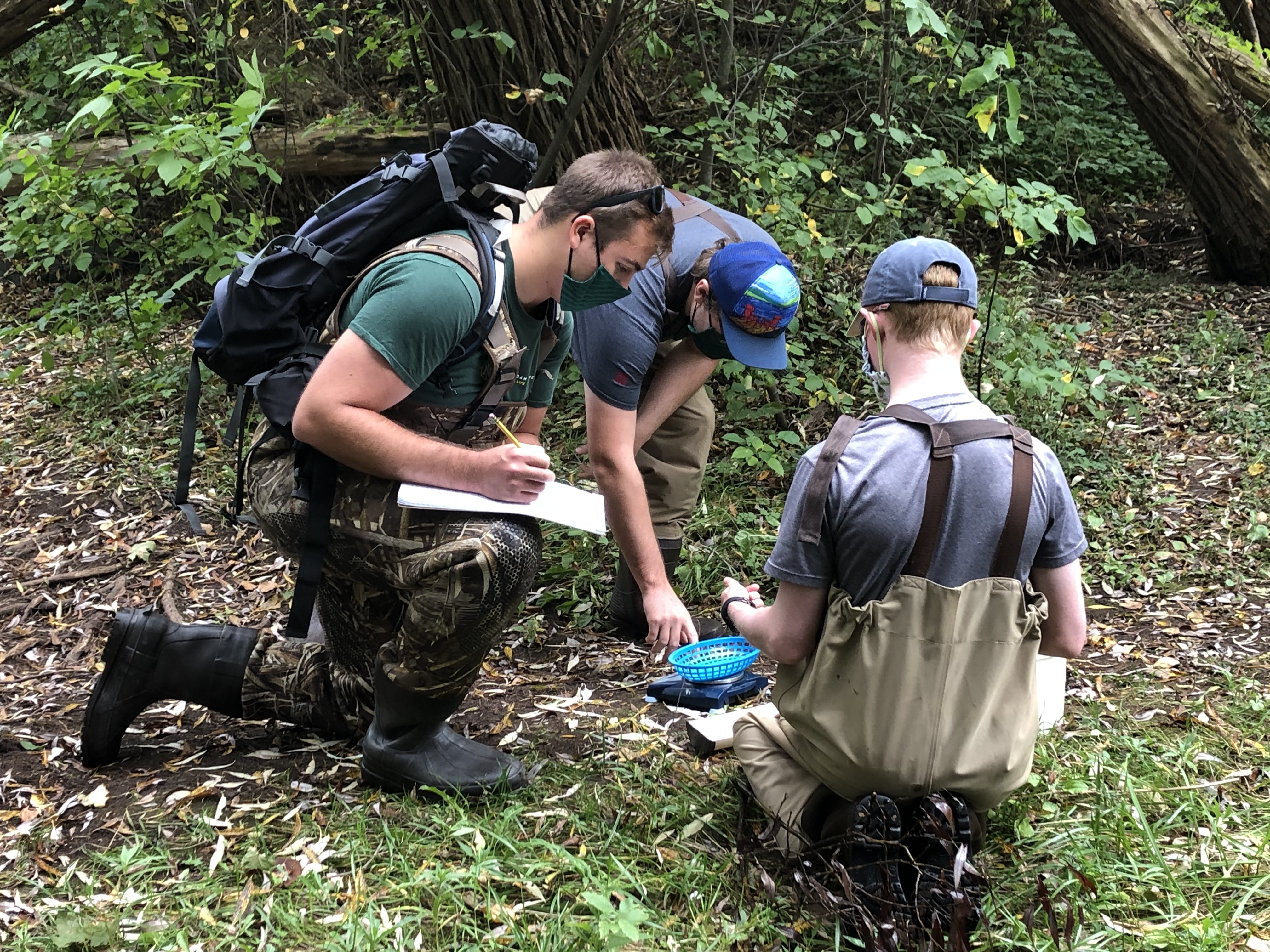 Students recording species, length and weight