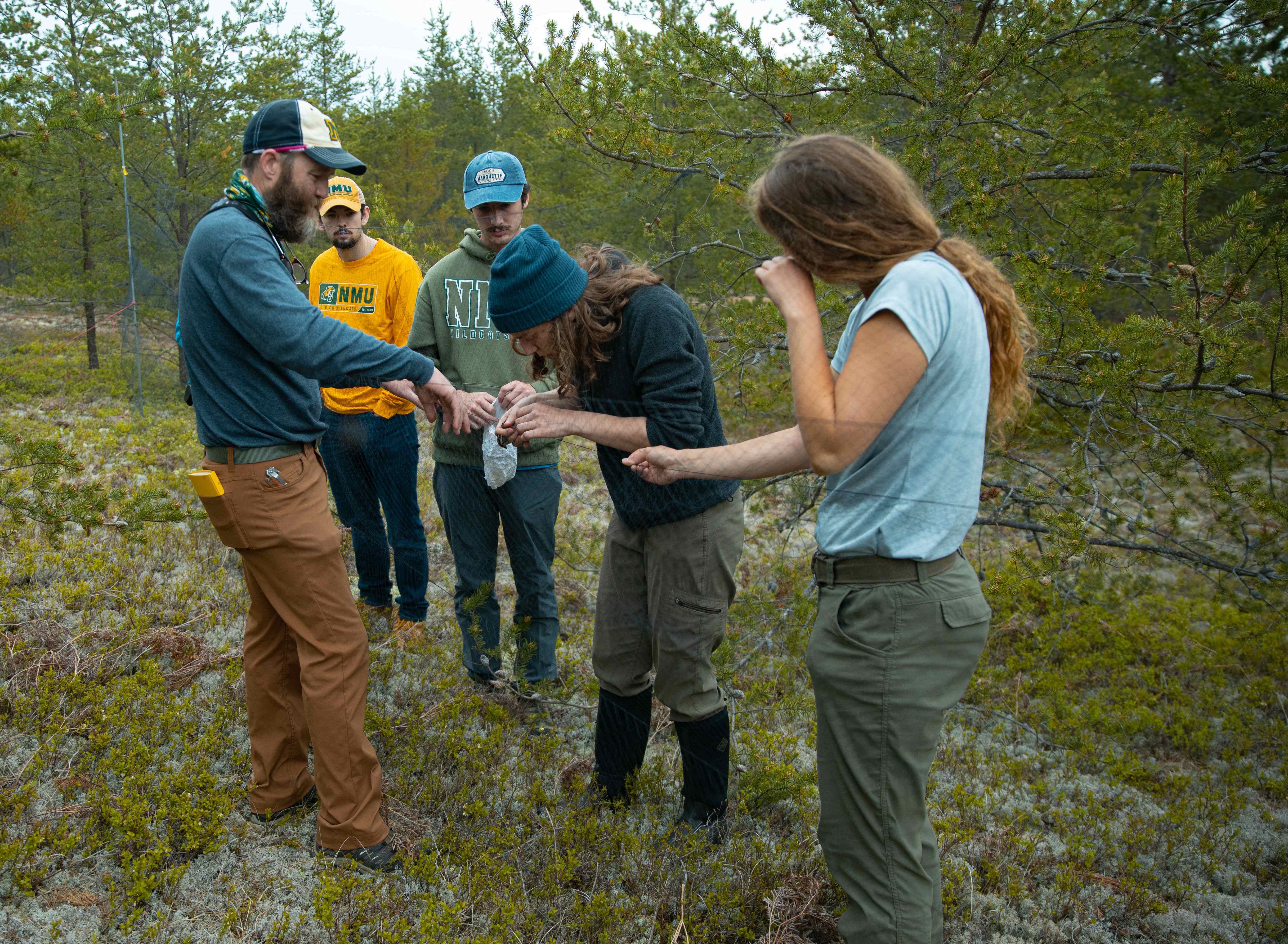 (from left) Lindsay, Ziegler, Federmeyer, Weisbeck and Miles near the mist net.