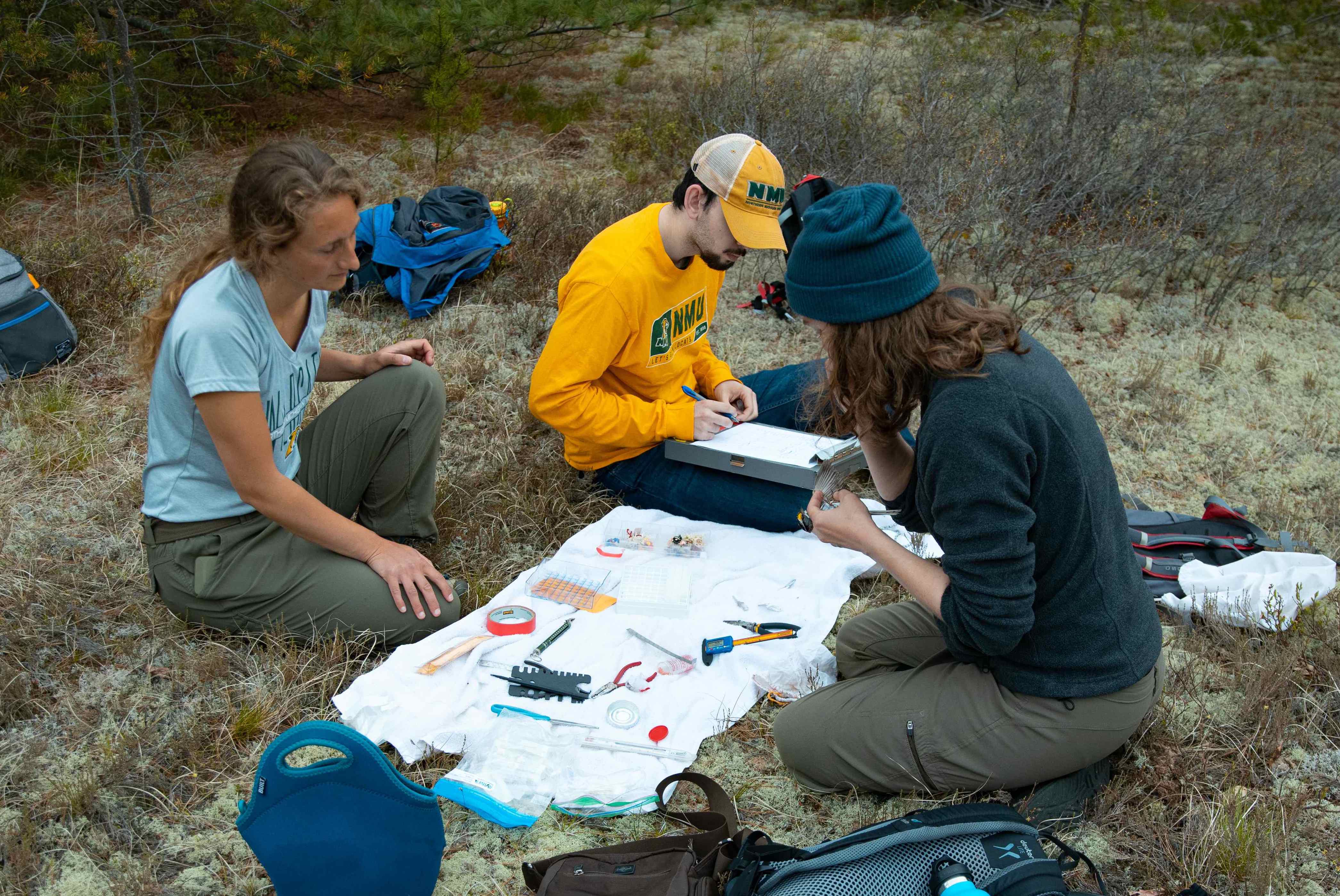 The portable station used to collect data and draw blood samples