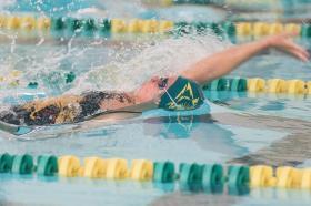 Swimming stock photo