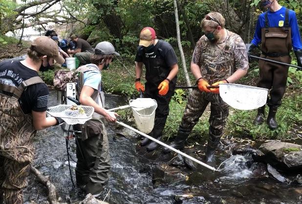 The class electrofishing