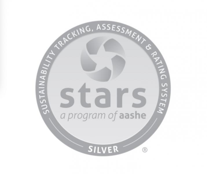 Silver logo