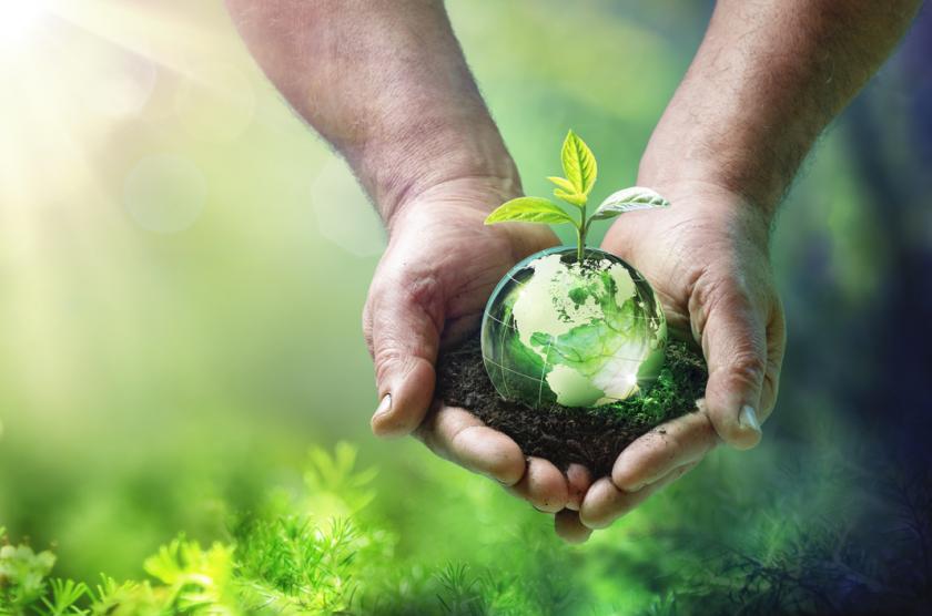 Plant and globe (iStock image)