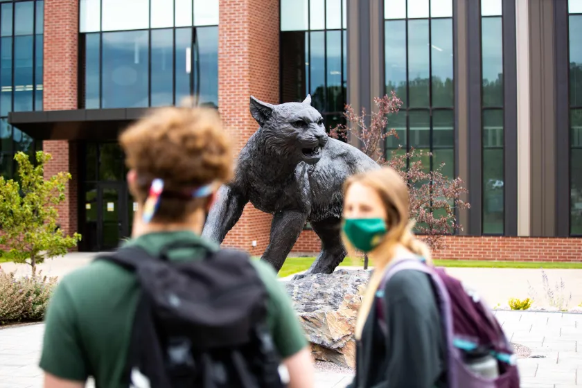 Stock photo near wildcat statue