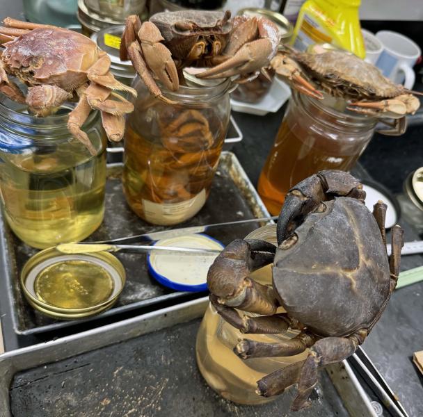 Some of Cumberlidge's crab specimens that he shipped to London before transitioning from full-time faculty to research associate. The specimens have joined the crustacean research collection at the National History Museum's Darwin Center.