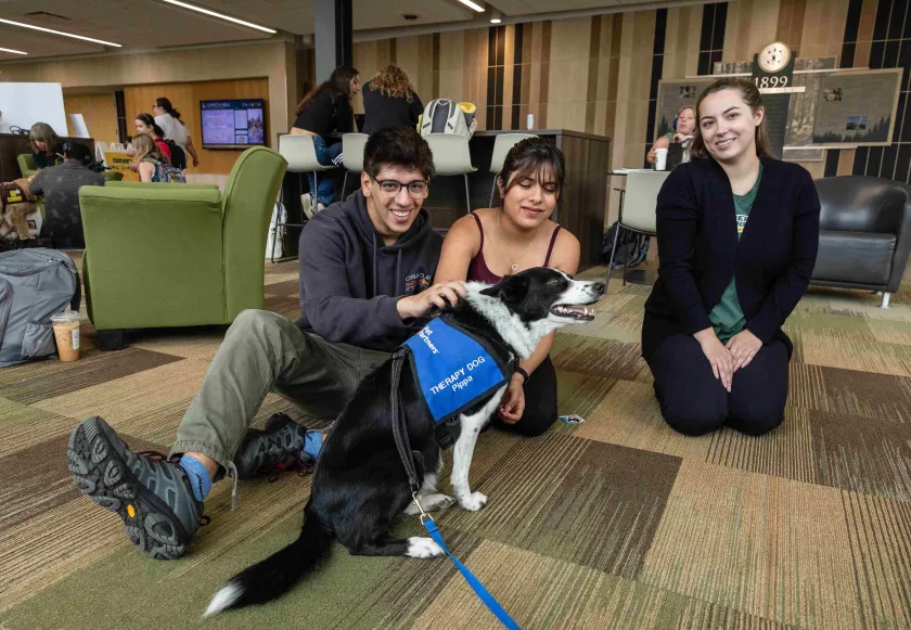 Wildpups can help provide stress relief and positive interactions for NMU students.
