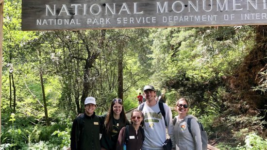An NMU survey team at John Muir Woods National Monument (from left): Carson Piette, Mackenzie Geary, Rosie Mousseau, Sam Kearney and Jes Thompson