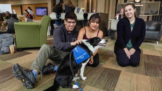 Wildpups can help provide stress relief and positive interactions for NMU students.