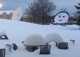 Smiling dish