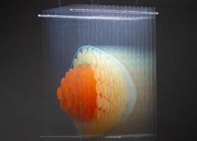Prather's "Egg"