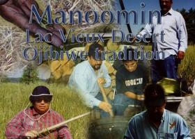 'Manoomin' collage