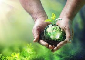 Plant and globe (iStock image)
