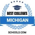 Graphic of best colleges michigan