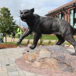 Wildcat statue