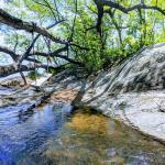 Whetstone Brook (Lynnae Branham photo)