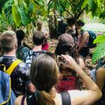 At a cacao farm