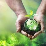 Plant and globe (iStock image)