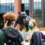 Stock photo near wildcat statue