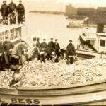 Large commercial catch (Great Lakes Fishery Commission photo)