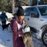 2022 sled dog race (Pre-Vet Club Facebook photo)