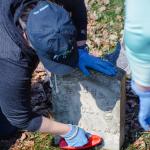 Volunteer scrubs a tombstone