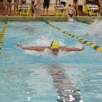 NMU swimming stock photo