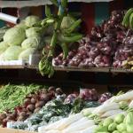 Vegetables stock photo