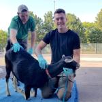 Anthony Clyne (right) with another participant and one of the goats.