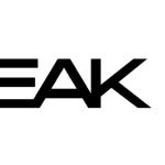 Peak25 logo