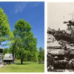 Photos from the "Ghost Towns of the U.P." and "The Polar Bears" exhibits.